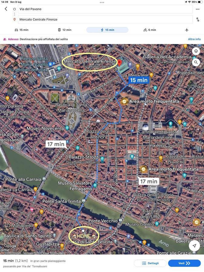 Uffizi & Santo Spirito Family/Groups Apartment Firenze Bagian luar foto