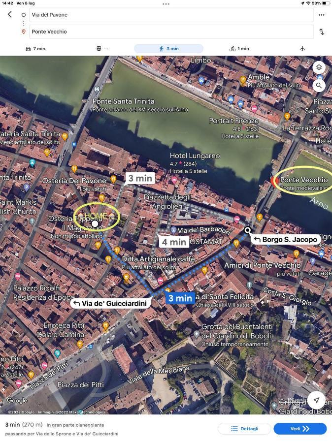 Uffizi & Santo Spirito Family/Groups Apartment Firenze Bagian luar foto